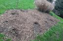 The stolen plant bed in Tatem Park, Edmonton will be replaced after thieves struck twice in one day.