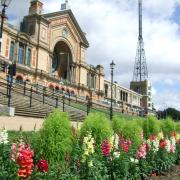 The count will take place at Alexandra Palace tonight