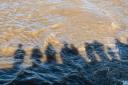 Senior executives from five of the 11 water companies that deal with sewage took bonuses this year, while at the other six they declined after public outrage (Alamy/PA)