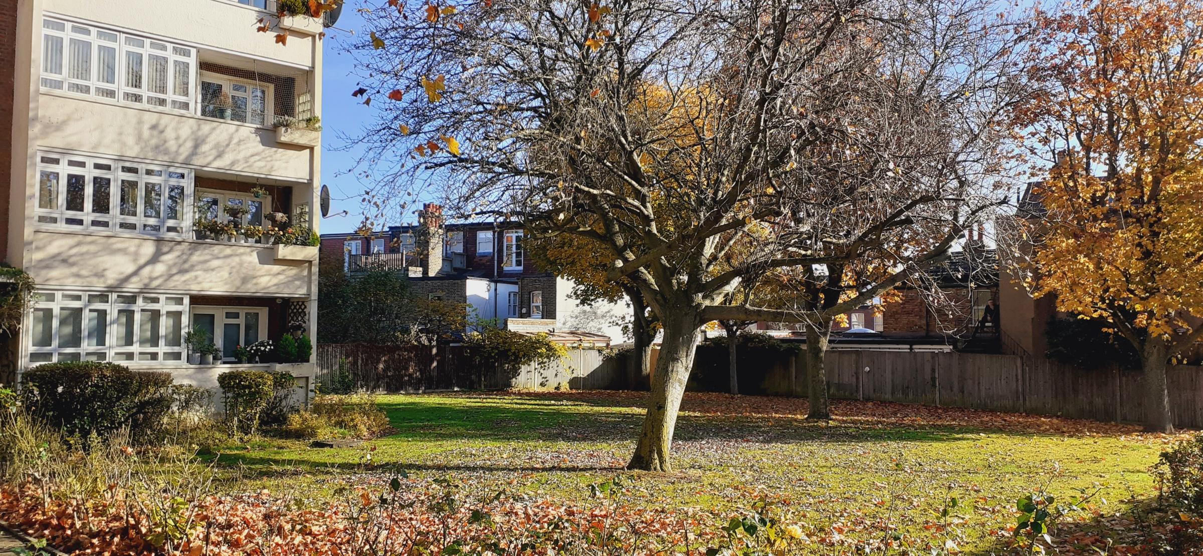 An image of the green space at Ramsey Court, where the council plans to build flats (contributed by Joe Banks)